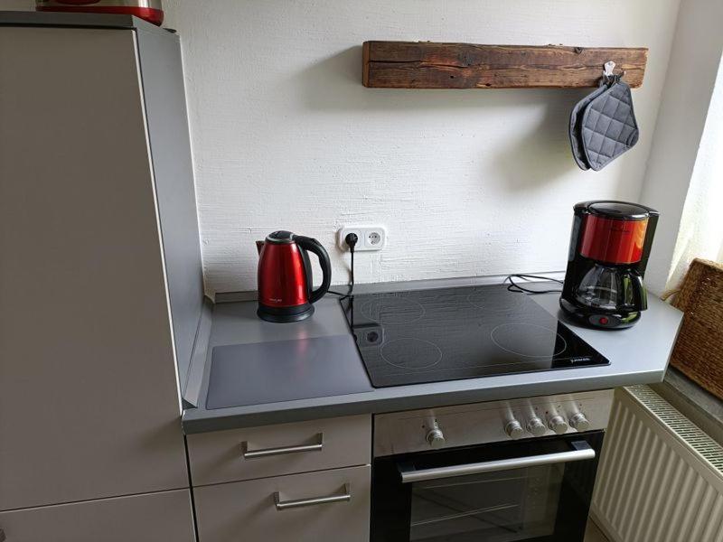 Apartment Luisa Ερφούρτη Εξωτερικό φωτογραφία